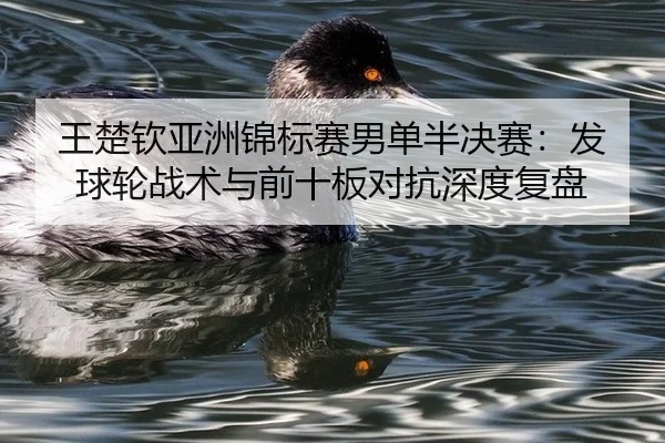 wang-chu-qin-ya-zhou-jin-biao-sai-nan-dan-ban-jue-sai-fa-qiu-lun-zhan-shu-yu-qian-shi-ban-dui-kang-shen-du-fu-pan-2-693.jpg