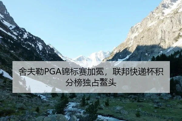 舍夫勒PGA锦标赛加冕，联邦快递杯积分榜独占鳌头